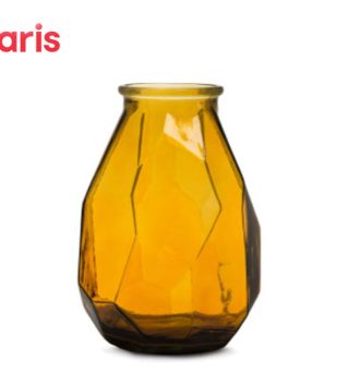 Face Vase