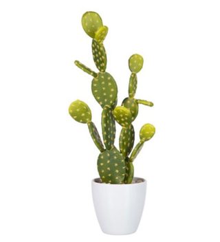 POT CACTUS 60585J
