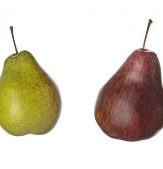 Decorative pear