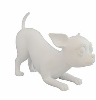 Chó Chiwawa Quỳ Trắng