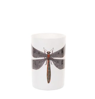 Chân nến chuồn chuồn lớn