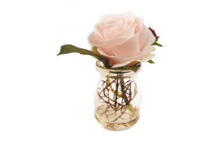 Head rose magic water