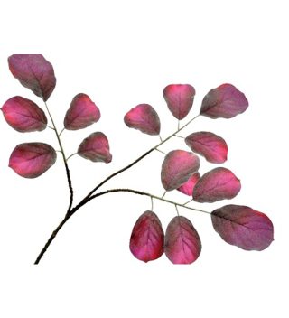 Cành Lá Màu Đỏ