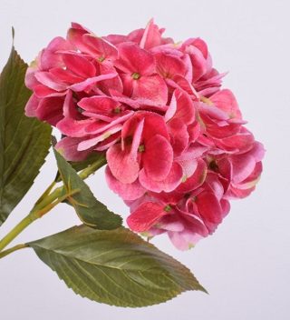 Hydrangea Pink 65cm