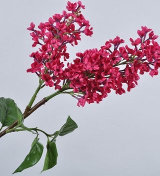 Lilac pink 85cm