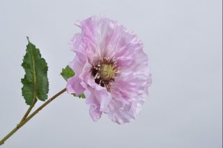 Hoa Poppy Tím 60 Cm