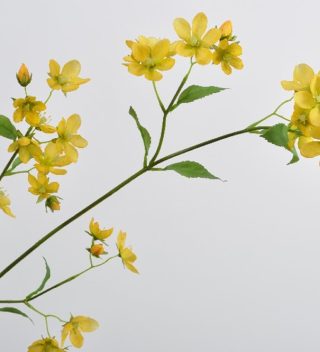 Hoa Màu Vàng 100Cm