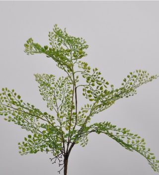 GREENSPRAY  61 CM