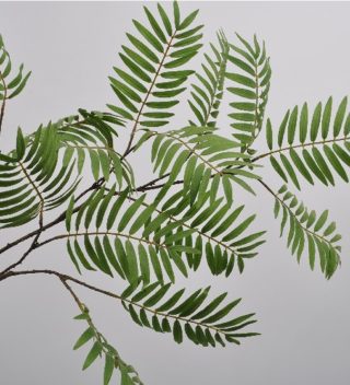 LEAF SPRAY GREEN 154 CM