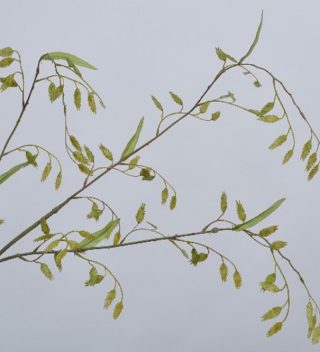 Grass branch 110cm