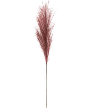 Cành Lông Duster Màu Đỏ Đậm