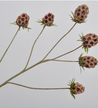 SCABIOSA BRANCH 80 CM