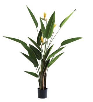 Paradise plant pot