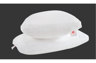 Ruột gối lông vũ