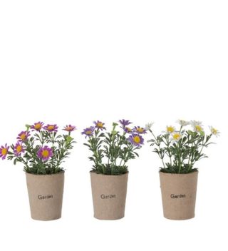 Daisy Flower Pot ASS3 7x17- 93445J