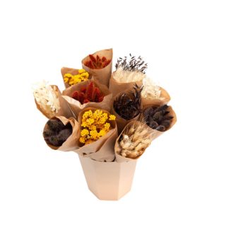 Bunch of 6 dried flowers Maison Du Lac55CM-151768C