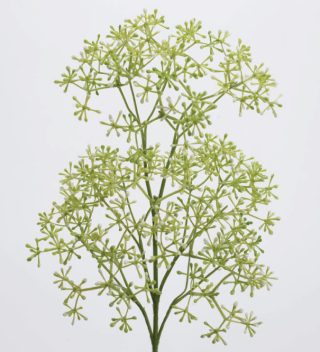 Hoa Berry Mini Jardin White