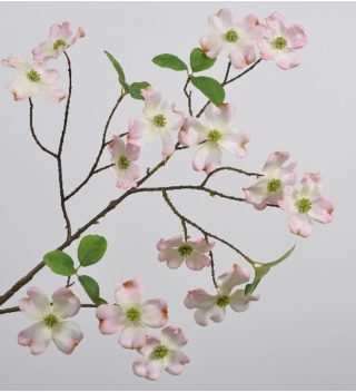 DOGWOOD SPRAY ROSE 110 CM
