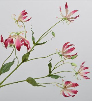 GLORIOSA SPRAY BEAUTY 90 CM