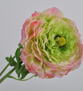 RANUNCULUS PINK GREEN 54 CM