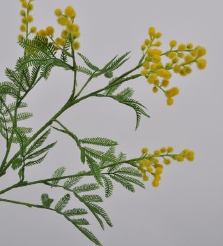 MIMOSA BRANCH 87 CM