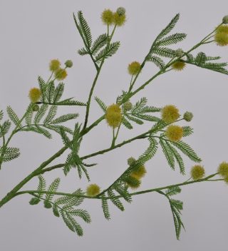 MIMOSA BRANCH GREEN 98 CM