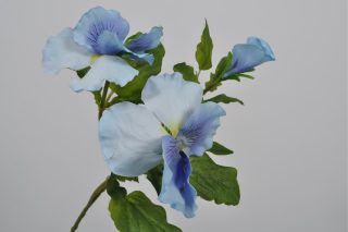 Hoa Pansy Màu Xanh 40Cm