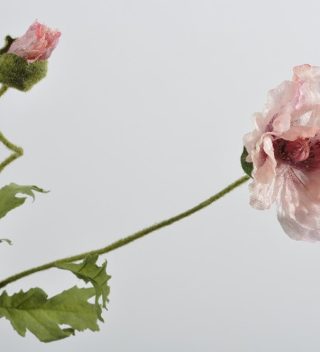 POPPY SPRAY ROSE 80 CM