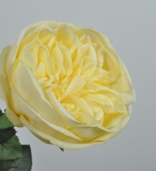 ROSE PÉDONCULE YELLOW 36 CM