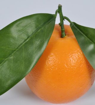 FRUIT ORANGE  11 CM