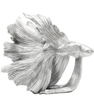 Beta fish silver small