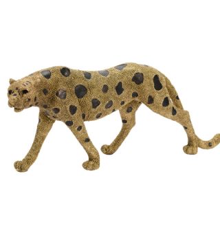 Standing leopard
