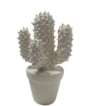 White mug cactus