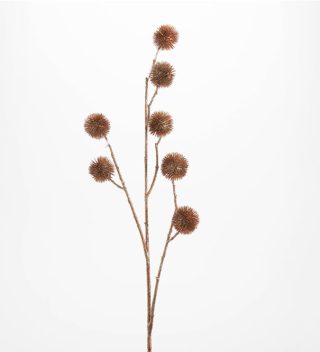 Hoa Pompon 80Cm