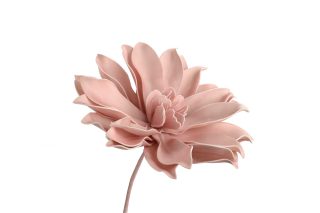 Hoa Pana Hồng 80Cm