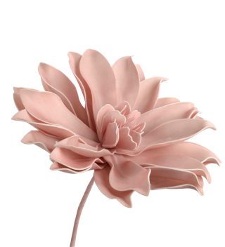 Hoa Pana Hồng 80Cm