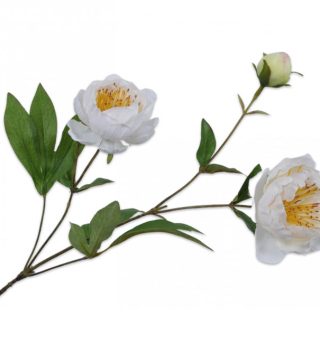 Hoa Mẫu Đơn (Peony) Màu Kem 72Cm