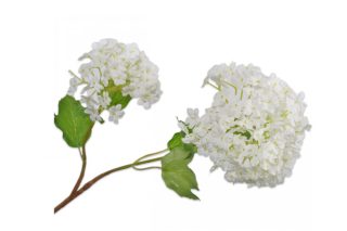 Hoa Tú Cầu H68 Cm