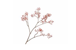 Cành hoa Berry màu cam