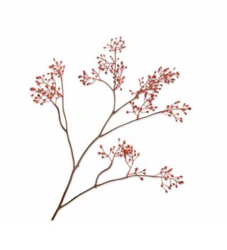 Cành hoa Berry màu cam
