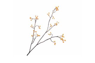 Cành hoa Berry màu vàng