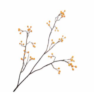 Cành hoa Berry màu vàng