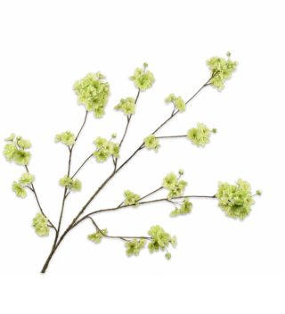 Cành hoa Blossom màu xanh lá 139754S