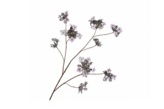 Cành hoa cẩm tú cầu Lavend trang trí