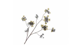 Cành hoa cẩm tú cầu màu xanh