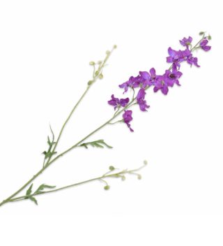 Cành hoa Delphinium Lavend 135307S