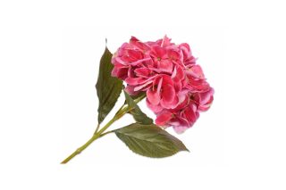 Hoa cẩm tú cầu hồng 65cm