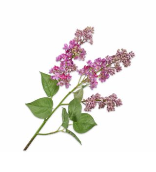 Cành hoa Lilac màu hồng 139049S