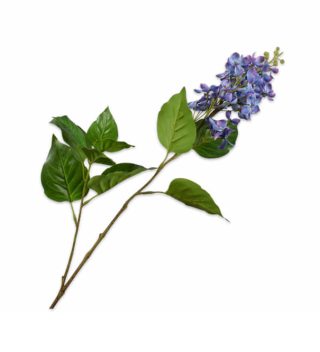 Cành hoa Lilac trang trí