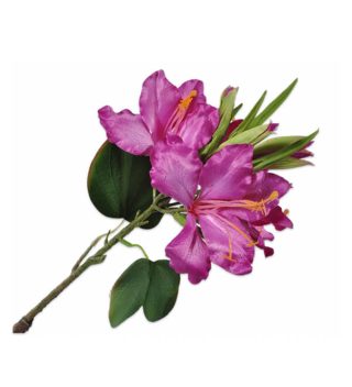 Cành hoa Lily màu tím 131051S